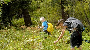 �kotourismus in Kanada