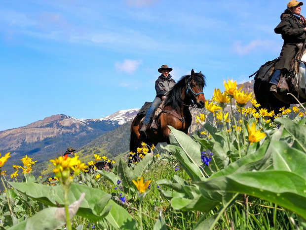 mit dem Pferd durch das Resort