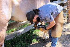 �kotourismus in British Columbia Kanada