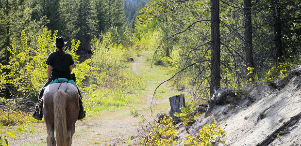 Ritt durch den Forst Ritt durch den Forst