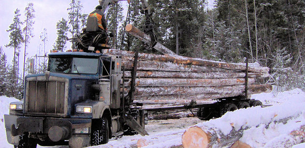 Selbstlader vom Forstbetrieb Selbstlader vom Forstbetrieb