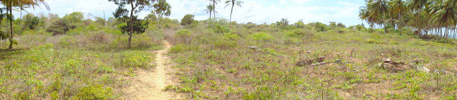 nrdlicher Teil des Grundstckes in Sri Lanka