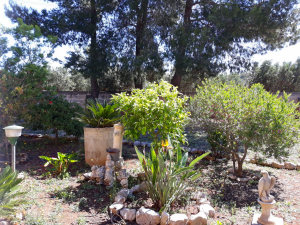 Garten des Ferienhauses