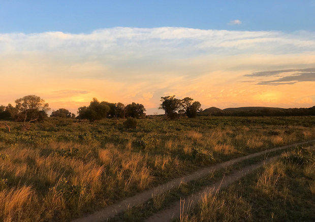 Grundstck fr eine Lodge in Sdafrika