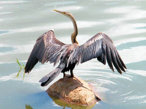 Naturreservat in Sdafrika