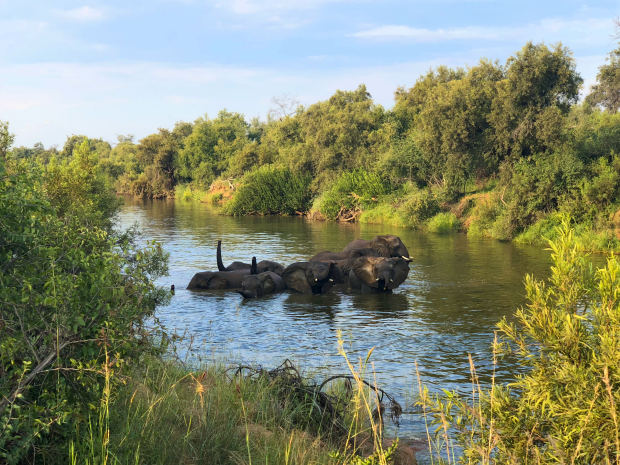 Grundstck im Wildreservat Sdafrikas