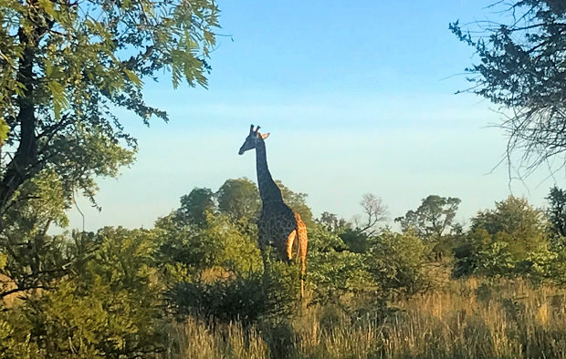 Grundstck nah dem Vaalkop Dam