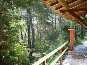 Terrasse vom Apartment im Ferienhaus Terrasse vom Apartment im Ferienhaus