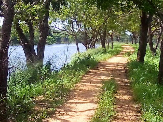 Zuweg zum Baugrundstück Anuradhapura Sri Lanka Zuweg zum Baugrundstück Anuradhapura Sri Lanka