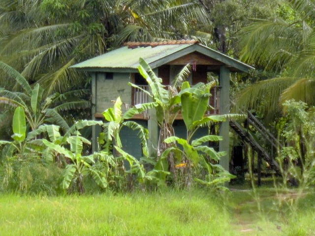 Wohnhaus auf dem Baugrundstück Wohnhaus auf dem Baugrundstück