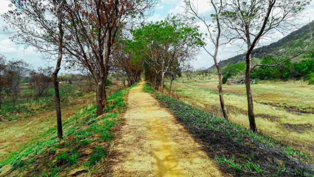 Weg zum Baugrundstück, rechter Hand Mihantale Sanctuary Weg zum Baugrundstück, rechter Hand Mihantale Sanctuary