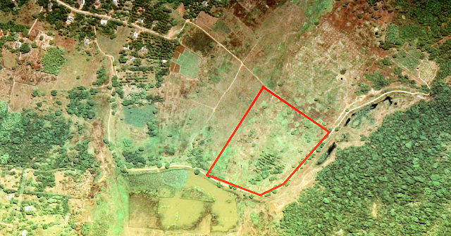 Baugrundstück in der Nord-Zentralprovinz Sri Lankas Baugrundstück in der Nord-Zentralprovinz Sri Lankas