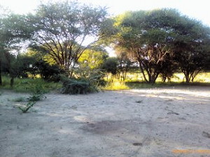 Grundst�ck vor dem Ferienhaus in Maun