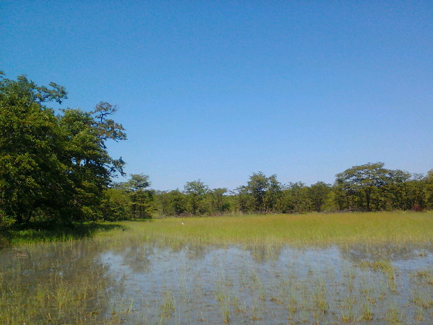 Fluss mit Wasser am Grundst�ck des Ferienhauses angenzend