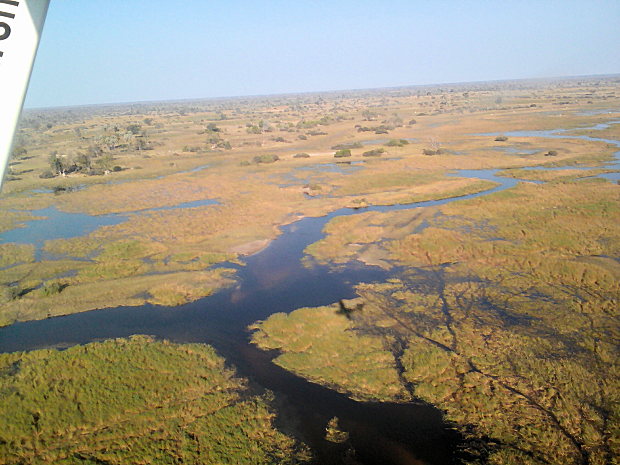 Okavango Delta Botswana