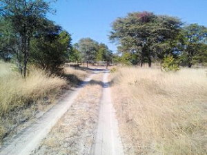 zum Ferienhaus am Fluss in Botswana