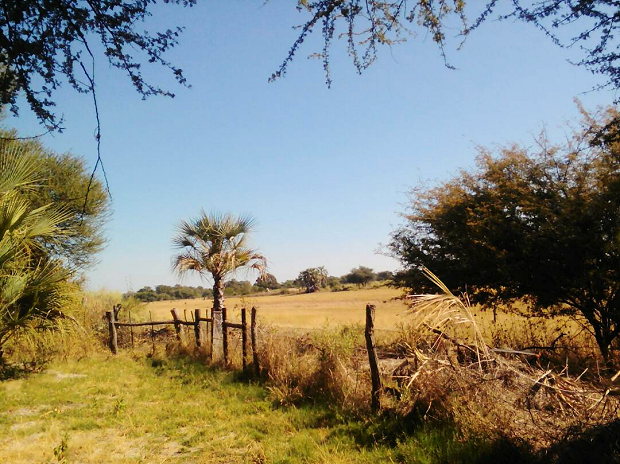 Grundst�ck Land zum Ferienhaus Wohnhaus in Botswana bei Maun