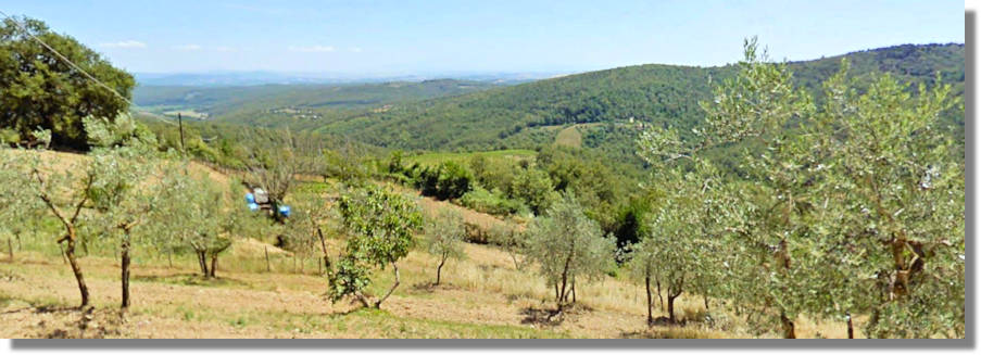 Agrarland Grundstücke für Landwirtschaft in Italien kaufen vom Immobilienmakler