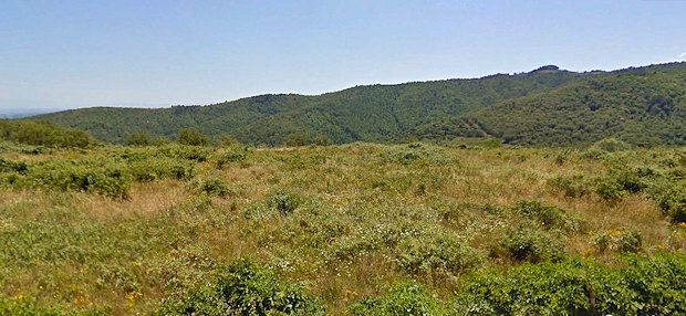 Grundstücke zur landwirtschaftlichen Nutzung in der Toskana Grundstücke zur landwirtschaftlichen Nutzung in der Toskana