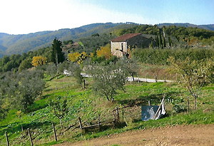 Grundstcke fr Landwirtschaft in der Toskana