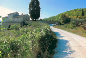 Rosennano bei Siena Toskana Rosennano bei Siena Toskana