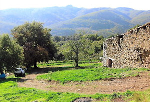 Ruine auf dem Grundstück in Rosennano Ruine auf dem Grundstück in Rosennano