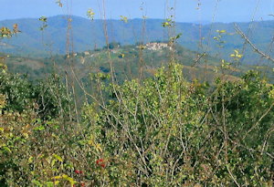 Grundstücke für Landwirtschaft Grundstücke für Landwirtschaft