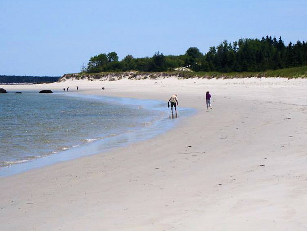 Sable River im Shelburne County Nova Scotia Kanada Sable River im Shelburne County Nova Scotia Kanada
