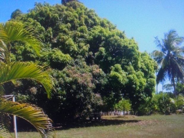 Grundstck der Ausbauhuser in Monte Gordo