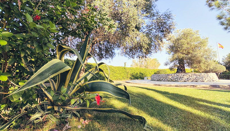 Grnflche der Apartmentanlage in Sditalien