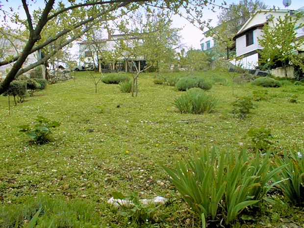 Bauland für ein Einfamilienhaus eienhaus in Mugeba Porec Bauland für ein Einfamilienhaus eienhaus in Mugeba Porec