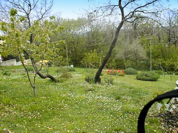 Baugrundstück in Hanglage bei Mugeba Porec Baugrundstück in Hanglage bei Mugeba Porec