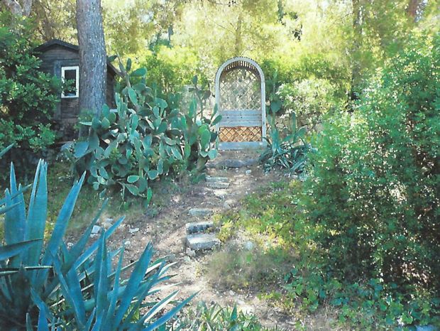 Garten vom Apartmenthaus in Santa Ponca Mallorca