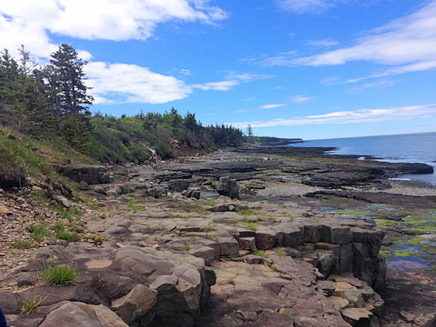 Ufer vom Baugrundstck an der Bay of Fundy im Annapolis County