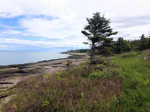 Bauland in Nova Scotia im Annapolis County
