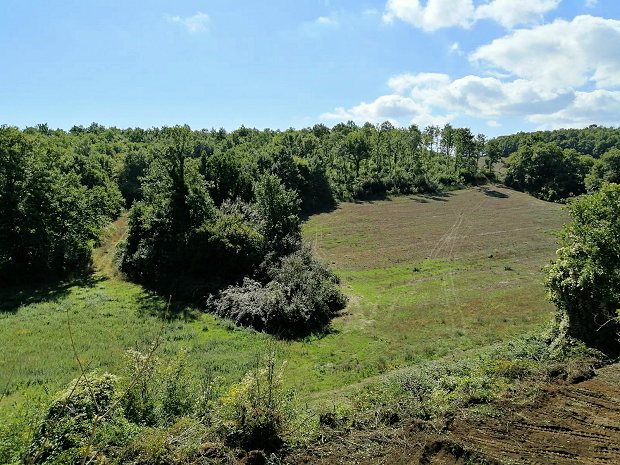 Ausblick vom Ausbauhaus in Talien