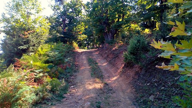 Panteleimonas Land von Dio-Olympos zum Kaufen