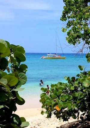 Beach bei Lucea und dem Baugrundstck