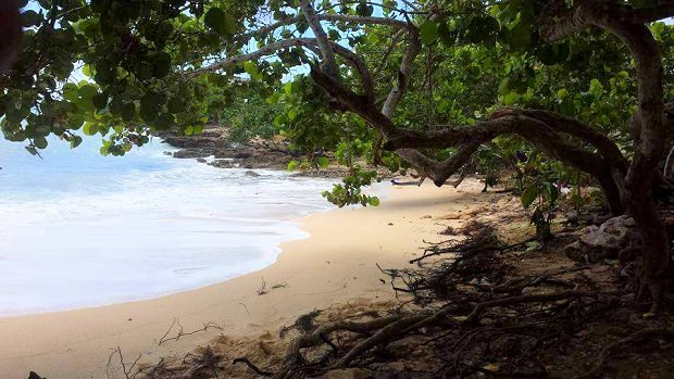 Beach vor dem Baugrundstck