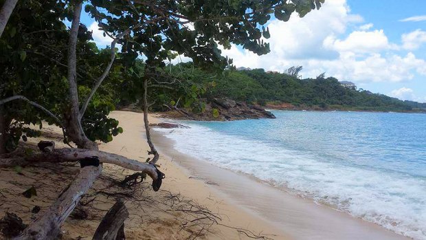 Strand am Baugrundstck Bauland im Hanover Parish