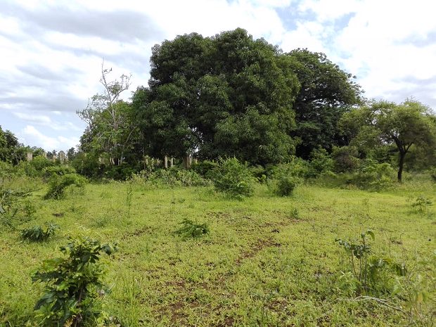 Bauland in Kinondo Kenia