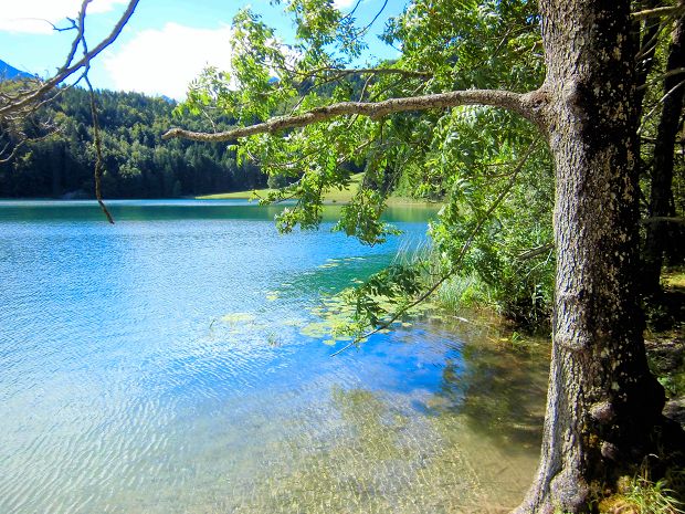 Baugrundstcke kaufen am McMillan Lake Cape Breton Island von Nova Scotia Kanada