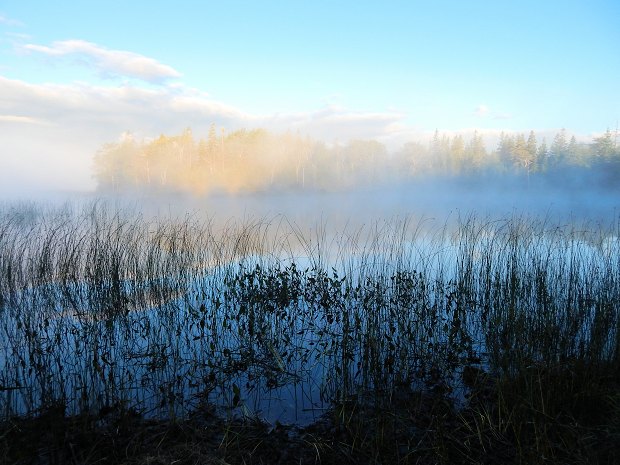 McMillan Baugrundstck am Morgen