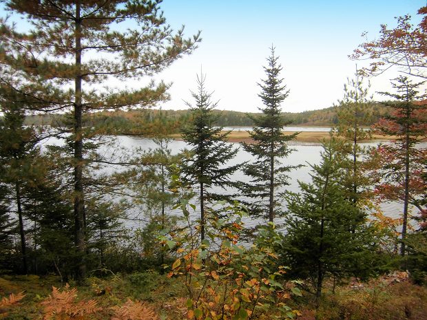 Baugrundstcke bei Port Hawkesbury Cape Breton