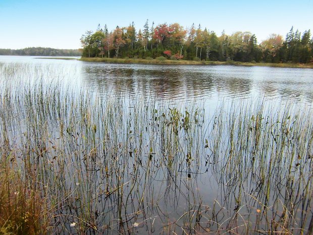 Baugrundstcke am McMillan auf Cape Breton