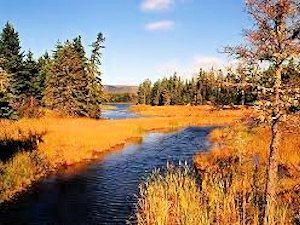 Bauland auf Cape Breton am McMillan
