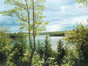 Bauland auf Cape Breton Island