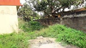 Grundst�ck vom Ferienhaus in Accra Ghana