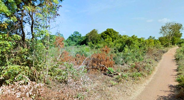 Farmland in Sri Lanka zum Kaufen