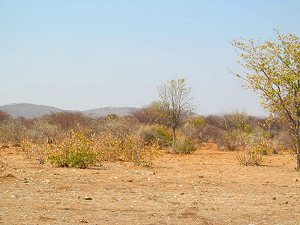 Agrarland in Namibia Kunene